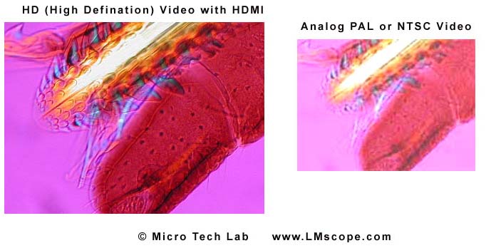 Vergleich HD mit HDMI und Analog PAL NTSC