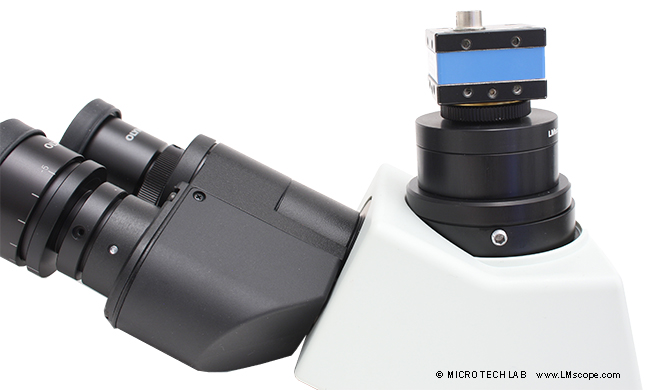 C-mount Kamera am Olympus Mikroskop am Fototubus montieren 