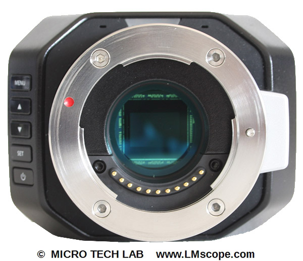 Blackmagic 4K camera sensor microscopecamera