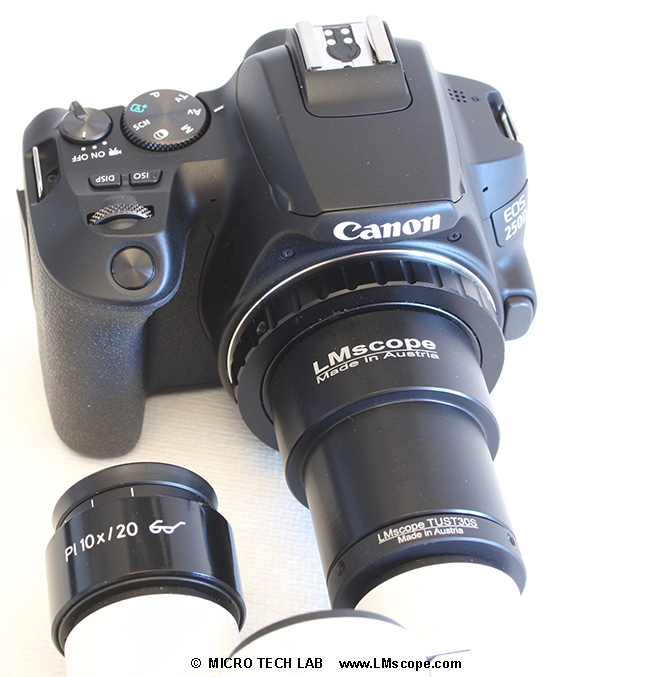 Montage Canon EOS 250D sur adaptateur focalisable du tube oculaire