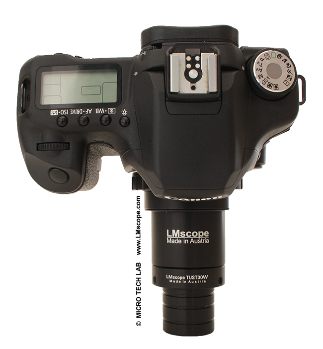 Canon EOS 50Dam Mikroskop mit Okularadapter
