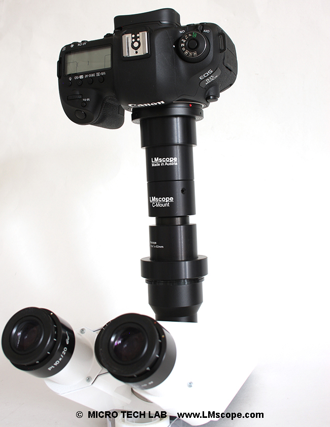 Canon EOS DSLR camera on microscope photoport with adapter
