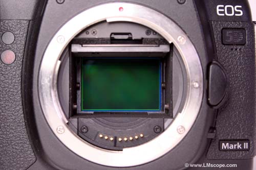 Sensor Canon EOS 5D Mark II Vollformat groer Sensor C-mount EF Bajonett
