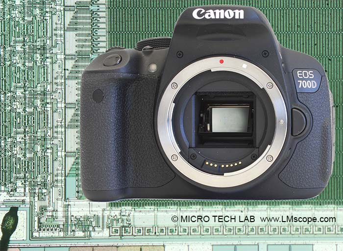 Canon EOS 700D microscope camera aps-c