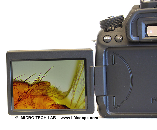 Klappdisplay Canon EOS 80D DSLR fr Mikroskopie ausrsten