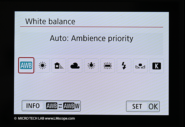 Canon EOS 850D white balance camera menu