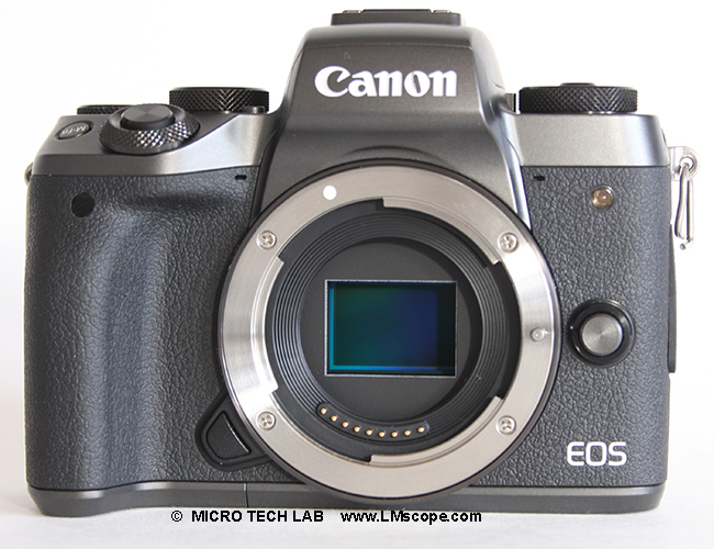 Canon EOS M5 DSLM system camera mirrorless microscopy