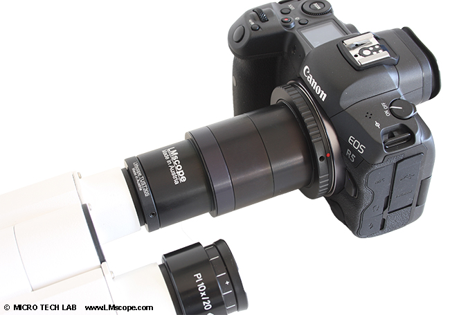 AmScope T610D-IPL camera mounting on the Canon EOS R5 eyepiece tube