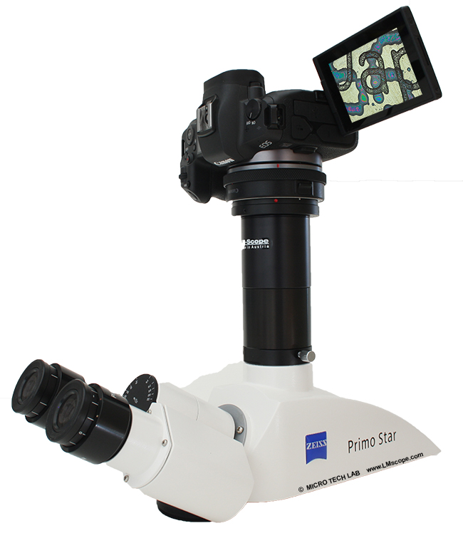 Zeiss Trinocular-microscope with photo tube, LM microscope adapter and Canon EOS RP