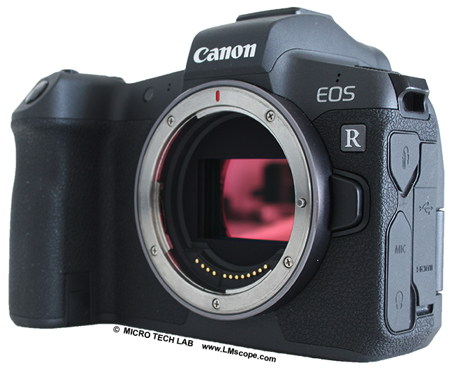 Canon EOS R DSLM plain format