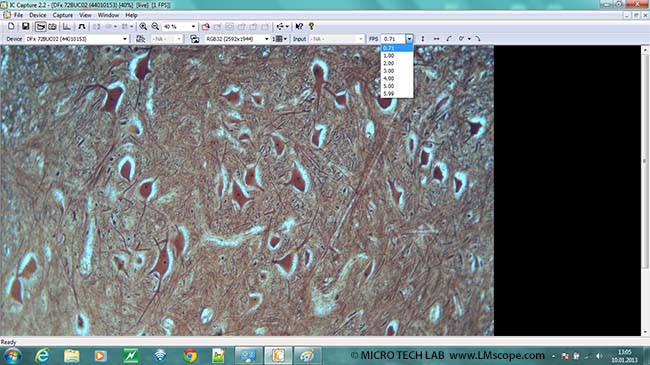 logiciel IC Capture pour microscopie appareil photo a monture c