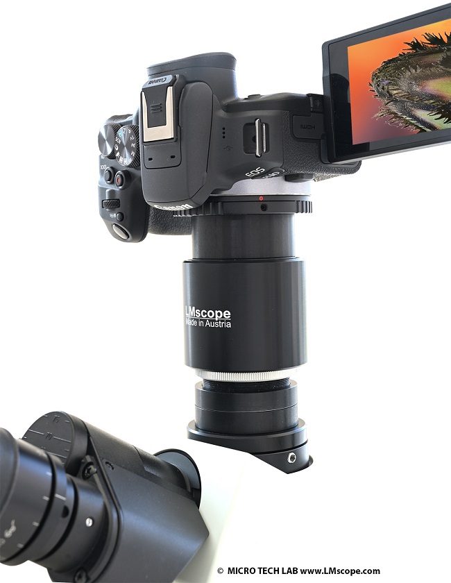 Top image quality with focusable microscope adapter on the Olympus BX53 BX63 BX53, digital SLR, mirrorless system cameras, C-mount cameras
