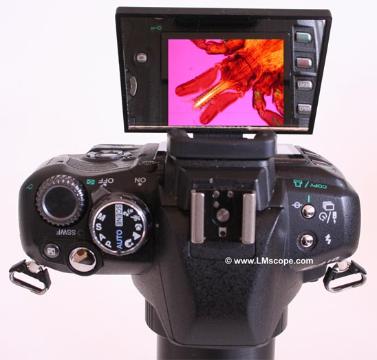 DSLR flexibles Display mit Displayspiegel Tipp