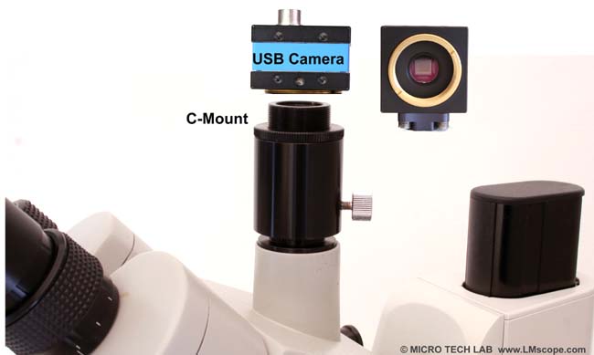 Microphotography Euromex Novex Zoom trinocular head, C-Mount port and USB camera