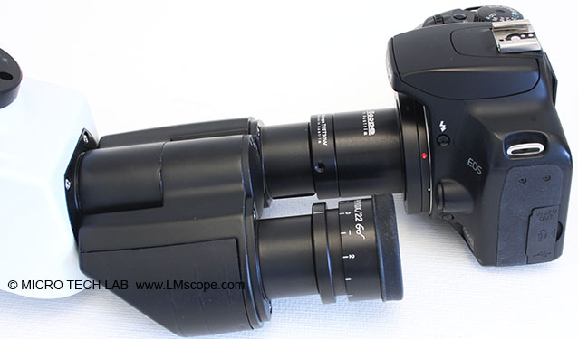 Euromex Oxion eyepiece adapter solution LMscope