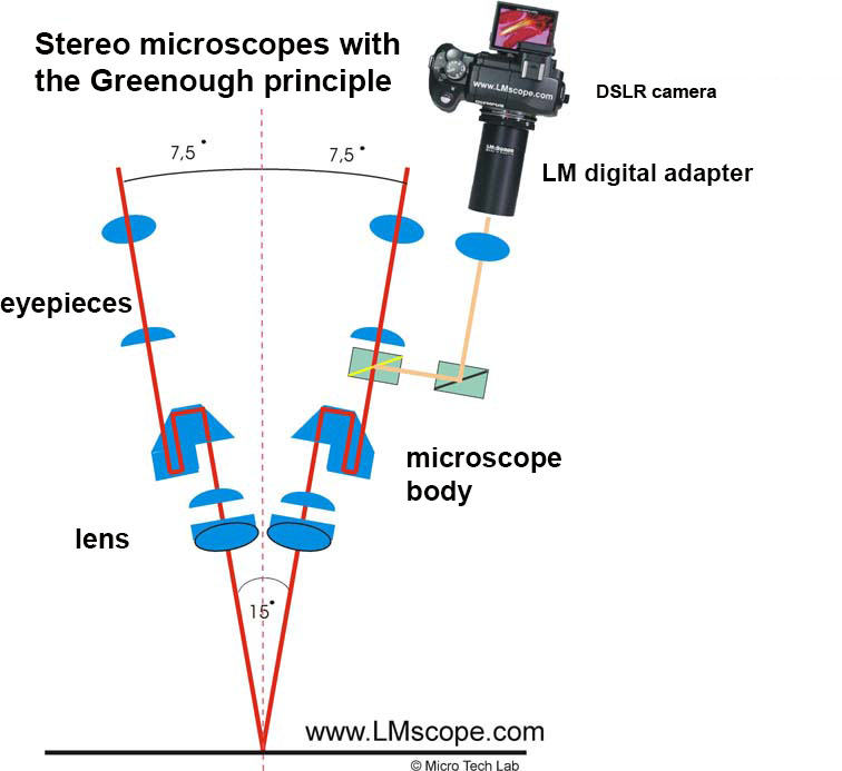 greenough principle stereo microscope