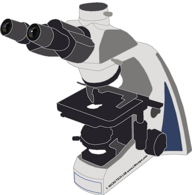 Solution adaptateur pour photomicroscope LW Scientific i4, quipe d un appareil photo numrique