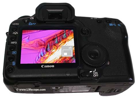 Canon DSLR Lupenfunktion zum Zoomen in der Mikroskopie