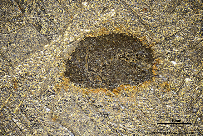 iron meteorites microscope photo Widmansttten structure