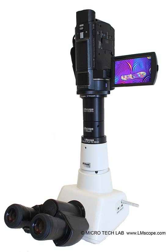 Sony Handycam FDR AXP33 mounted on microscope with LM wide-field compact camera adapter