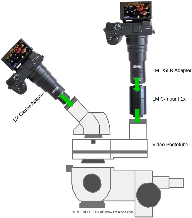Montage Mglichkeiten von Digitalkameras am Okular Tubus oder am Fototubus Motic K500 Stereomikroskop DSLR DSLM