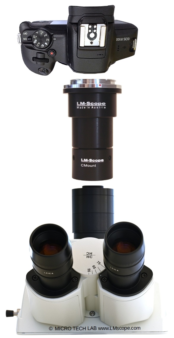 Montaje de la Canon EOS R100 en el tubo fotogrfico, la cmara microscpica y la montura C
