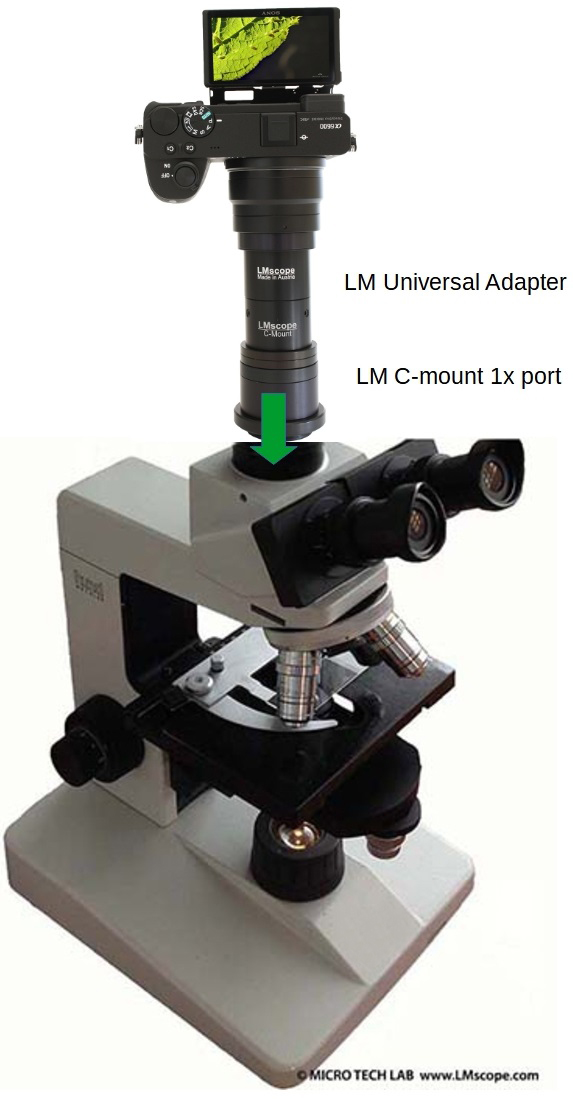 Hund H500 Labormikroskop Adapterlsung Fototubus planachromatische Przisionsoptik C-mount port