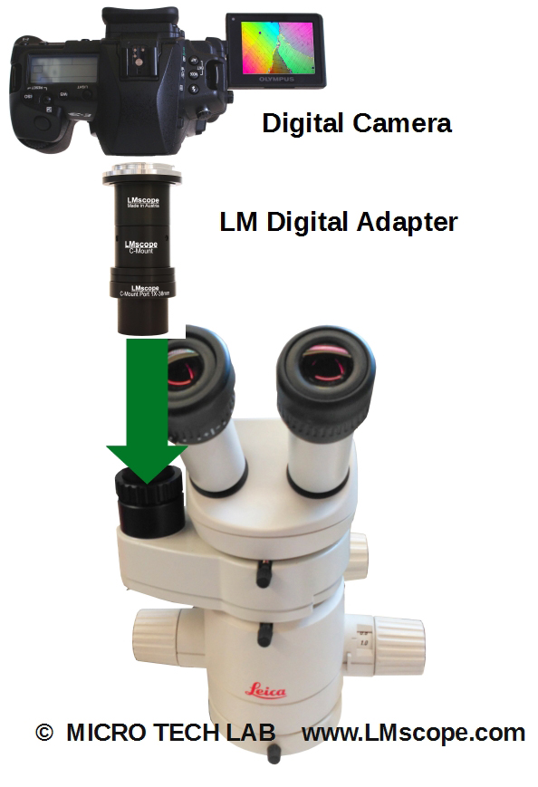 Strahlenteiler Adapterlsung Leica Stereomikroskop