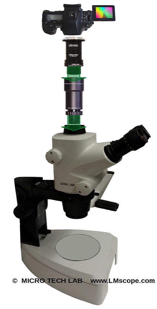 Leica port 1x fototubo camra microscopia
