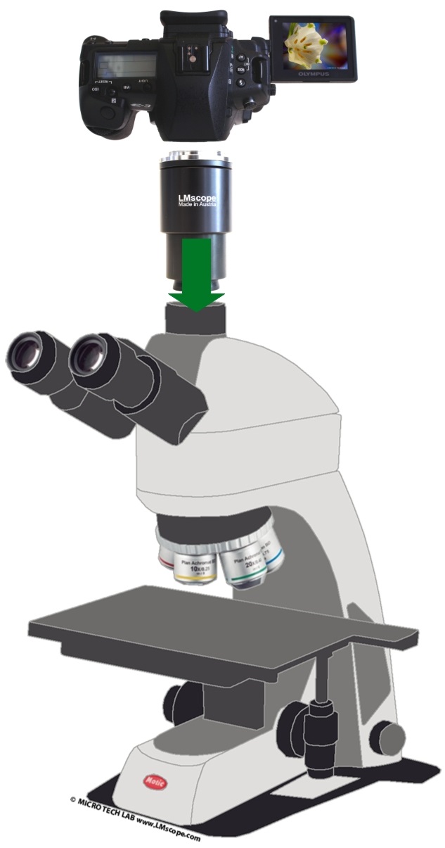 Adapterlsung:Motic Panthera Labormikroskop Kameraadapter Mikroskopkamera DSLR