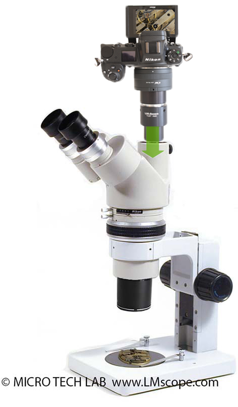 Stereomikroskop Nikon SMZ-10 Adapterlsung am Fototubus