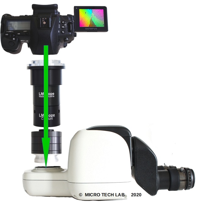 Modularer C-mount Adapter fr Nikon P2-TERG Nikon LT-TV Alternative