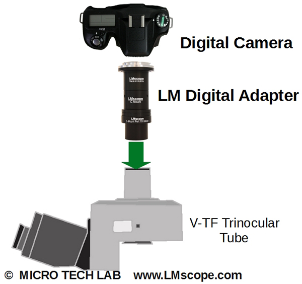 Tubo fotogrfico trinocular Nikon E200 E400 V-TF adaptado para DSLR y DSLM