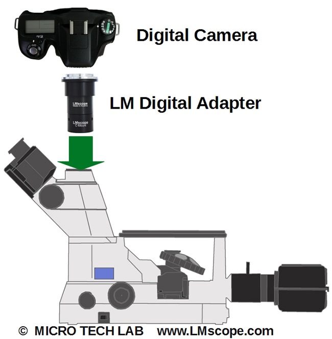 Montage der DSLR via LM Digital Adapter