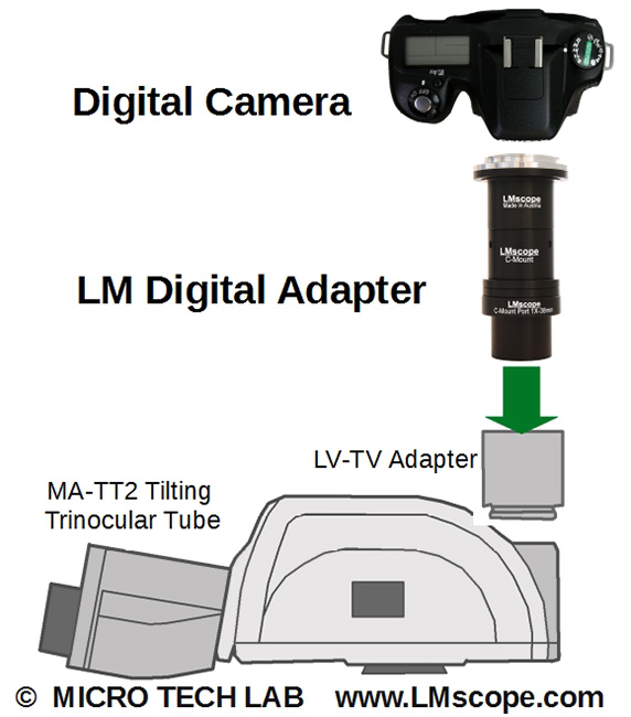 Ergotubus mit LM Digital Adapter mit TUST 38C