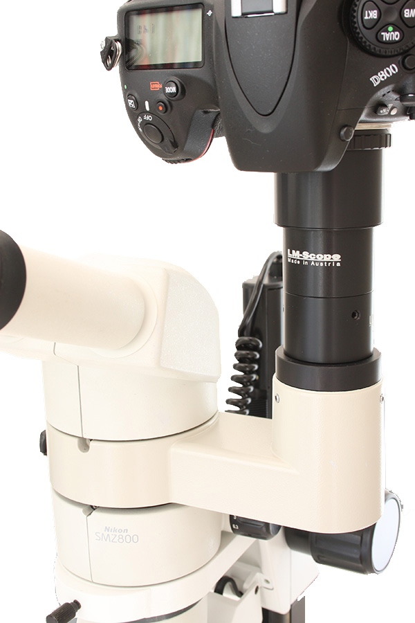 Nikon SMZ microscope with DSLR DSLM camera adapter