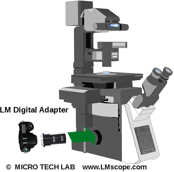 Olympus IX microscope pour photography