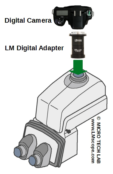 binocular ergo tube with lm microscope adapter