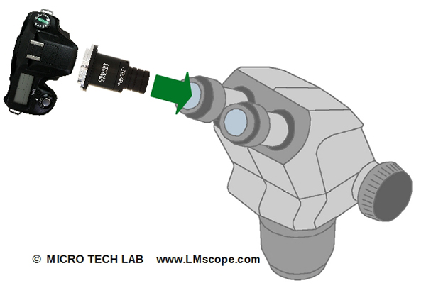 Adapterlsung Montage einer DSLR mit Adapter am Okular des Zeiss Stemi 508