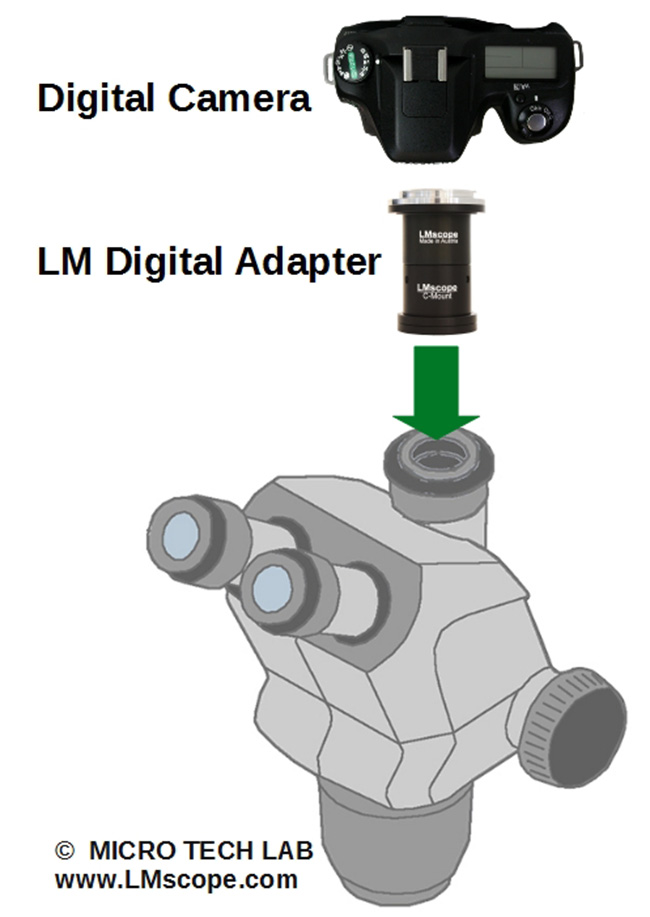 mount a dslr with lm microscope adapter on a zeiss stemi 508 doc
