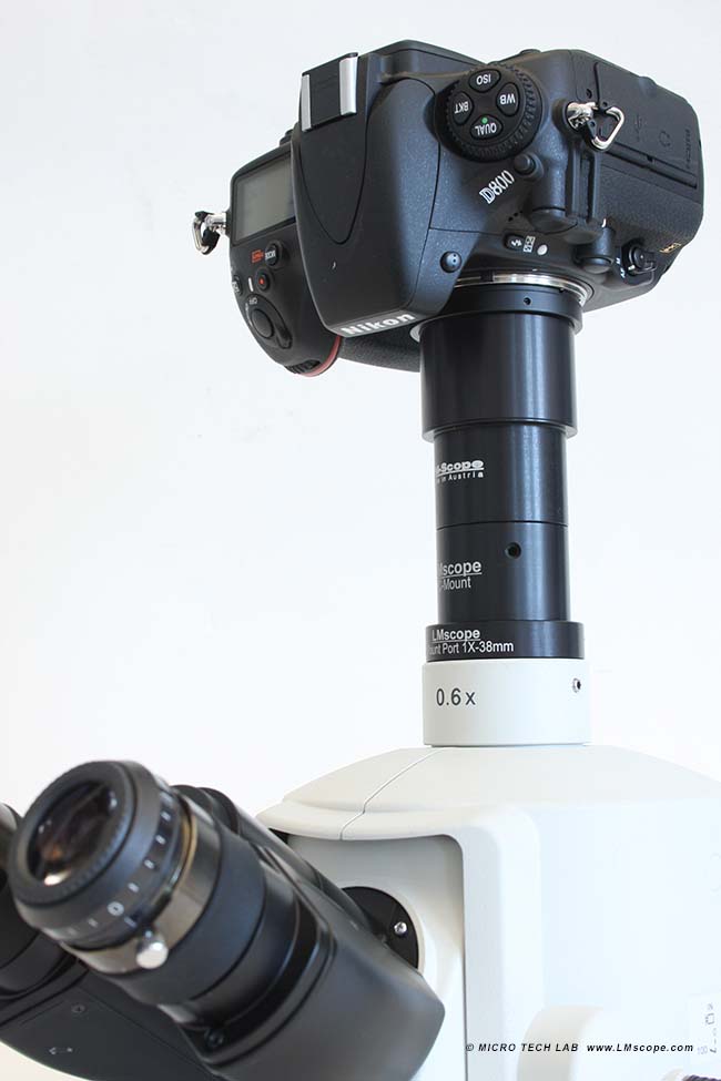 Nikon Multizoom AZ100 mit DSLR DSLM Mikroskopkamera ausrsten