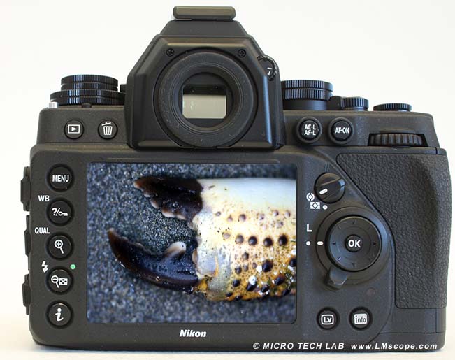 Nikon Df appareil de plein format