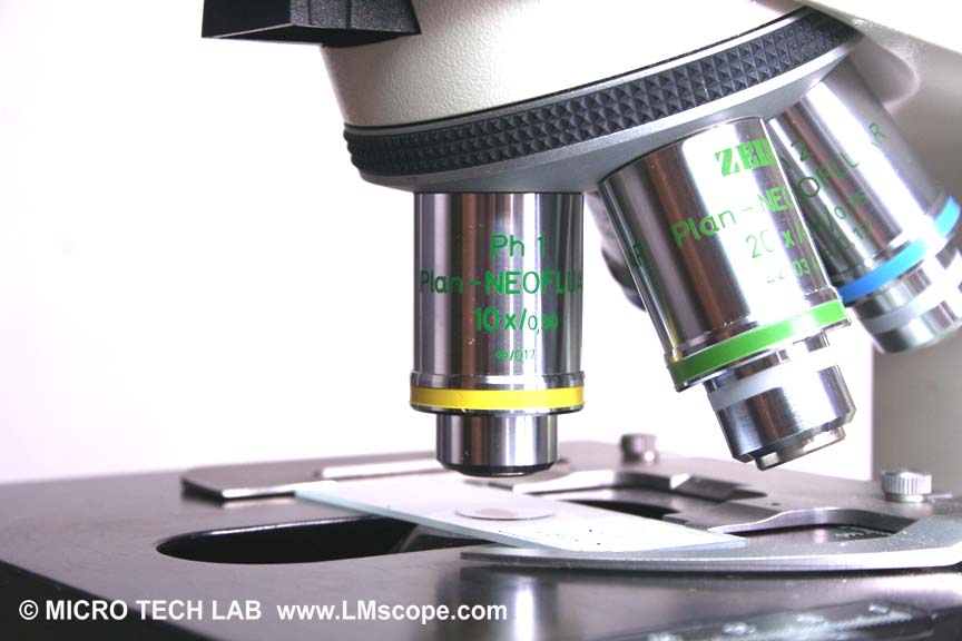 objetivos o lentes microscpicas LMscope