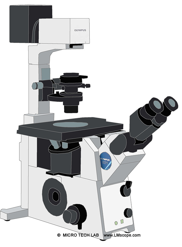 Modern digital microscope cameras on the Olympus IX 71 (  IX2series)