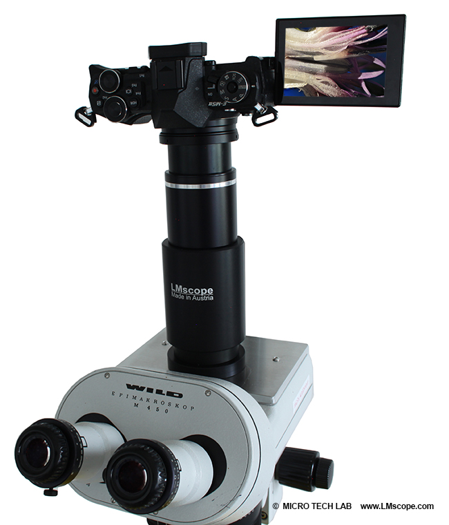 Olympus OM-D E-M5 Mark II photo port Wild M450 photomicroscope with tilting display