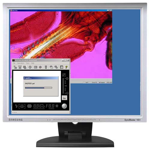 Pentax Remote software transfirir automaticamente las imagenes