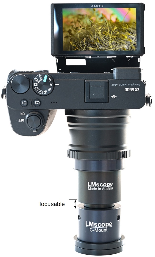 Mikroskop AdapterZeiss Pro Adapter 52mm Auendurchmesser fokussierbar, Digitale Spiegelreflex ,spiegellose Systemkameras, Mikroskopkameras