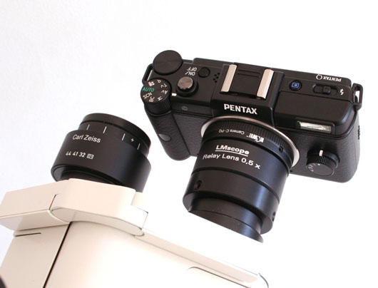 Pentax Q LM Relay Lens Adapter am Okulartubus eines Mikroskops