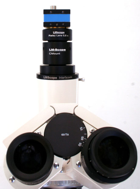 C-Mount Kamera mit LM Relay Lens Adapter (Faktor 0,5) am Fototubus eines Mikroskops