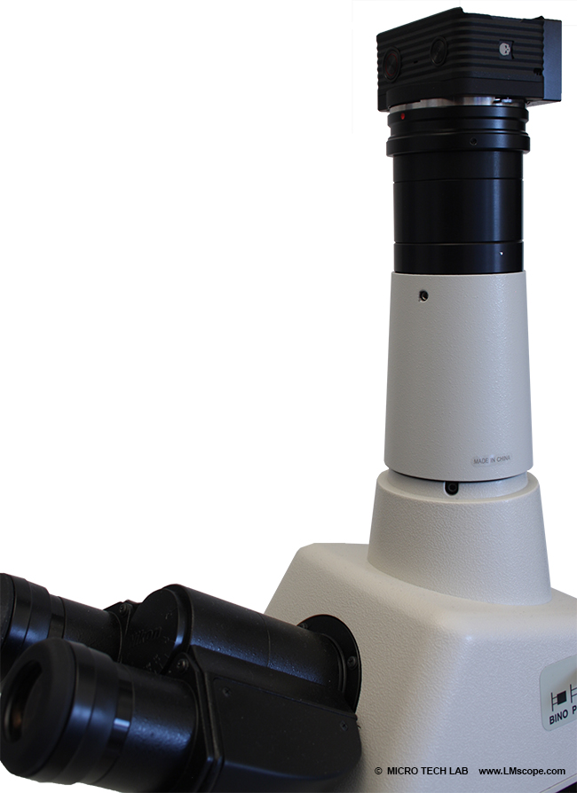  Ribcage RX0 mounted on microscope with LM adapter solution photo tube